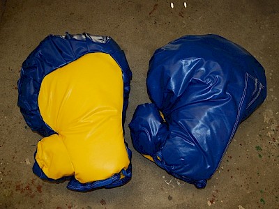 Gants de BOXE
