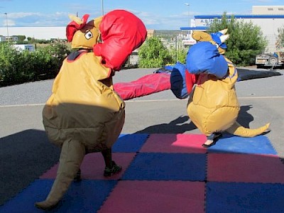 KIT Costumes KANGOUROUS occasion - 700€ht