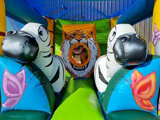 Décors 3D ! Zèbres et tigre