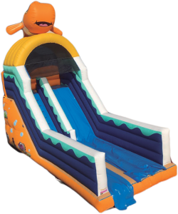 Toboggan Gonflable "POISSONS" CLAS