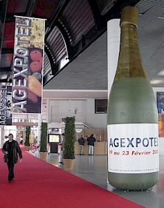 Bouteille CHAMPAGNE Gonflable occasion 500€ht