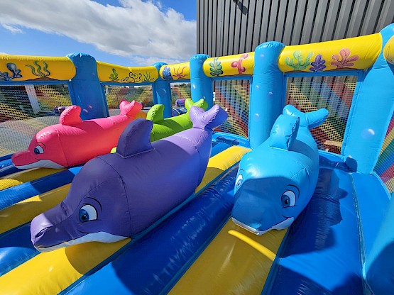 Aire de jeu gonflable avec décors dauphins gonflables
