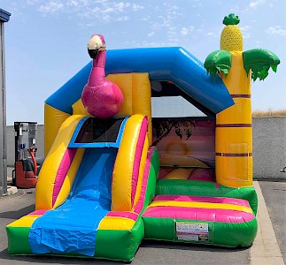 Combo Gonflable FLAMANTS 2900.00€ht