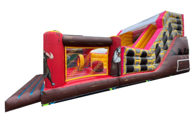 Toboggan Gonflable "OLE" PLUS