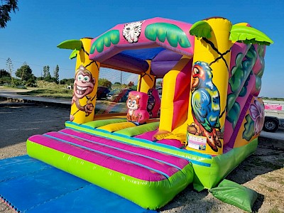 Combo Gonflable JUNGLE occasion 1800.00€ht
