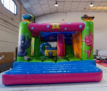 Combo maxi classico TROPIC 3500€ht