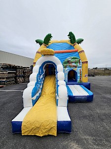 Multiplay SURF gonflable occasion