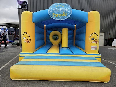 Château gonflable décoré occasion 800€ht