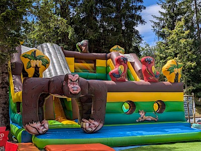 AIRE GORILLES gonflable occasion