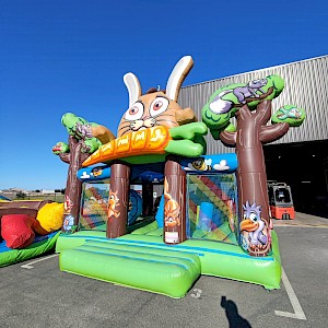AIRE BOSQUET gonflable occasion
