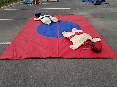 KIT SUMO enfants occasion