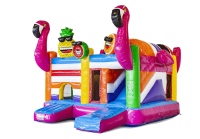 MultiPlayground Gonflable "FLAMANTS ROSE"
